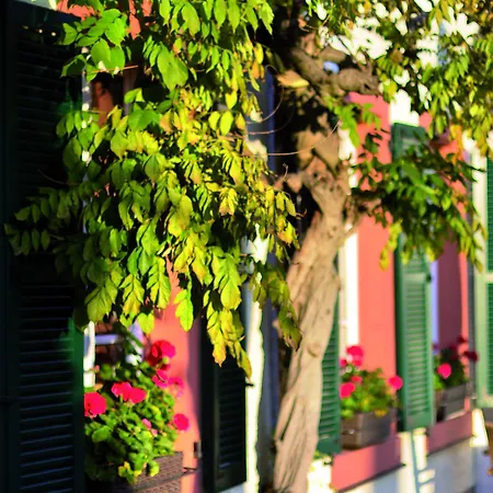 Steffen 3* リーザー