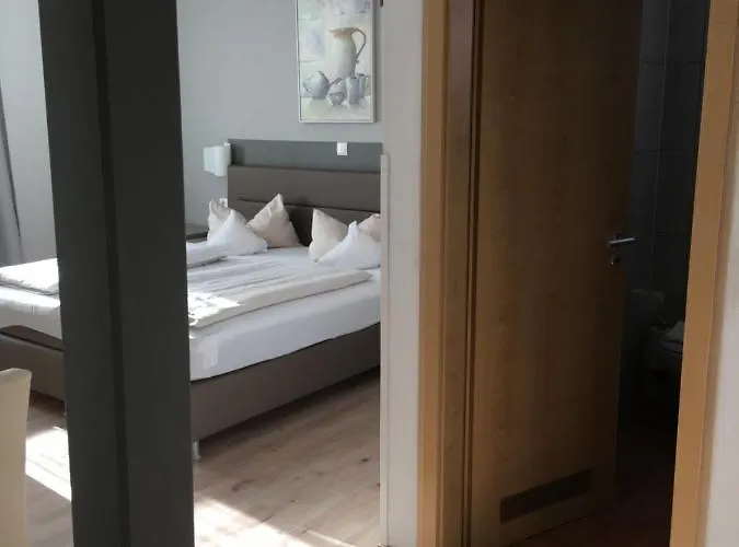 Steffen 3* リーザー