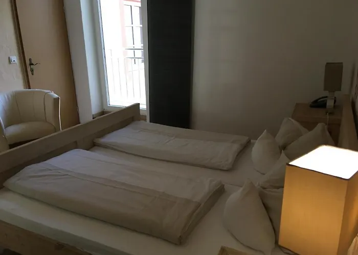 Steffen 3* リーザー