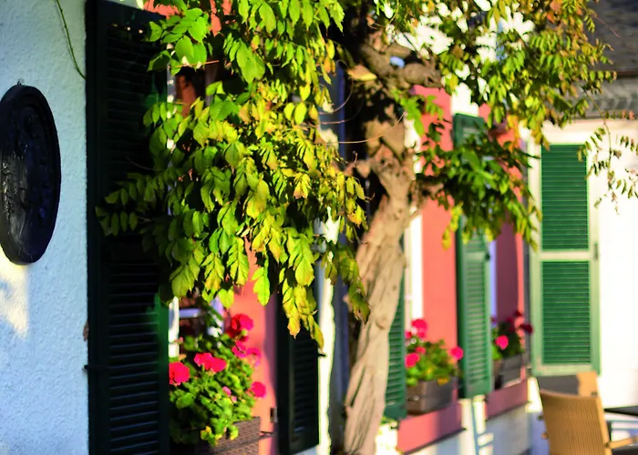 Steffen 3* リーザー