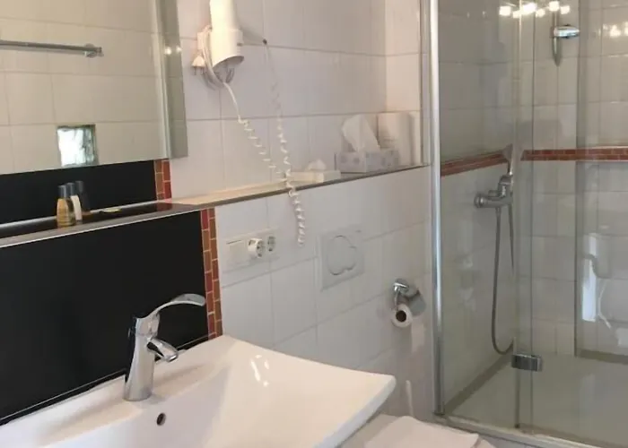 Steffen 3* リーザー