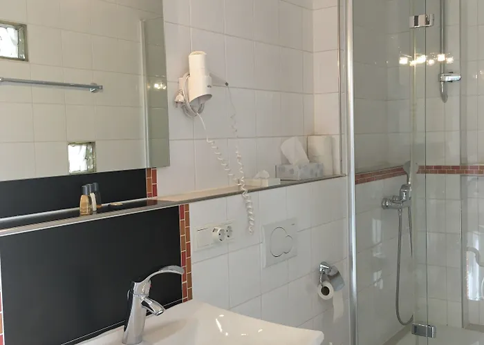 Steffen 3* リーザー