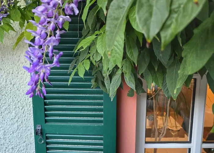 Steffen 3* 利塞尔